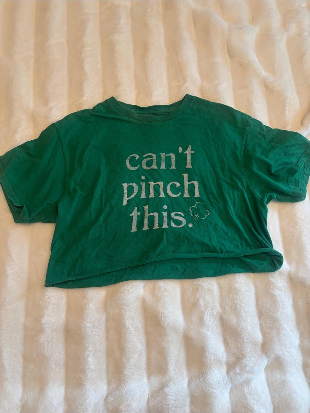 Women’s Freeze Green Crop Top with "can't pinch this." Graphic Tee M Medium